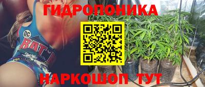 скорость Аргун