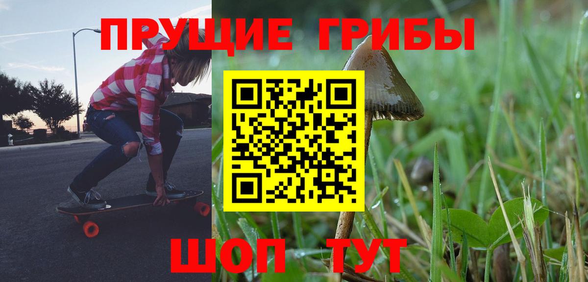 Галлюциногенные грибы GOLDEN TEACHER Воткинск